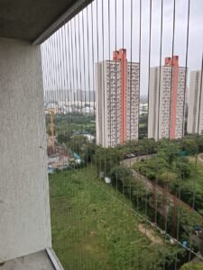 Bird control services 