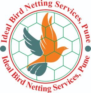 Bird Netting services in pune