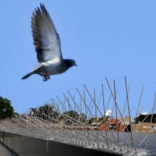 Ravet Bird Netting