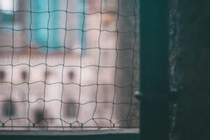 Bird Netting