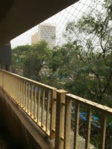 Bird Netting in Sinhgad road 